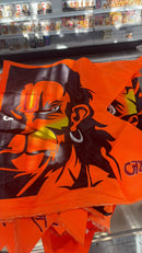 Hanuman ji flag