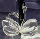 Swan