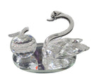 Swan with Apple