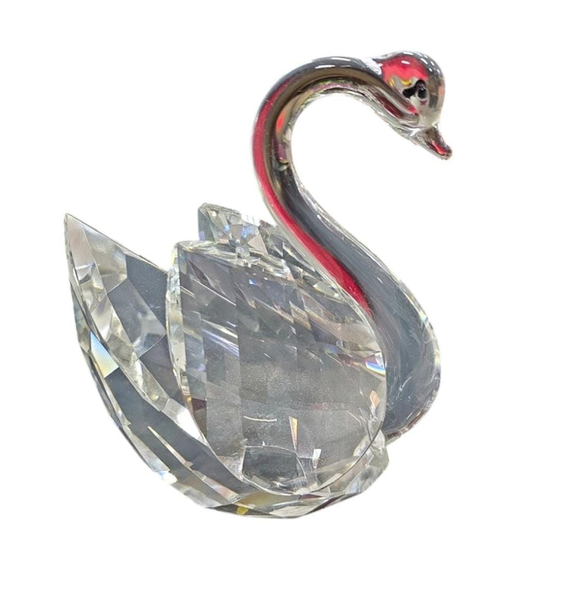 SINGLE SWAN