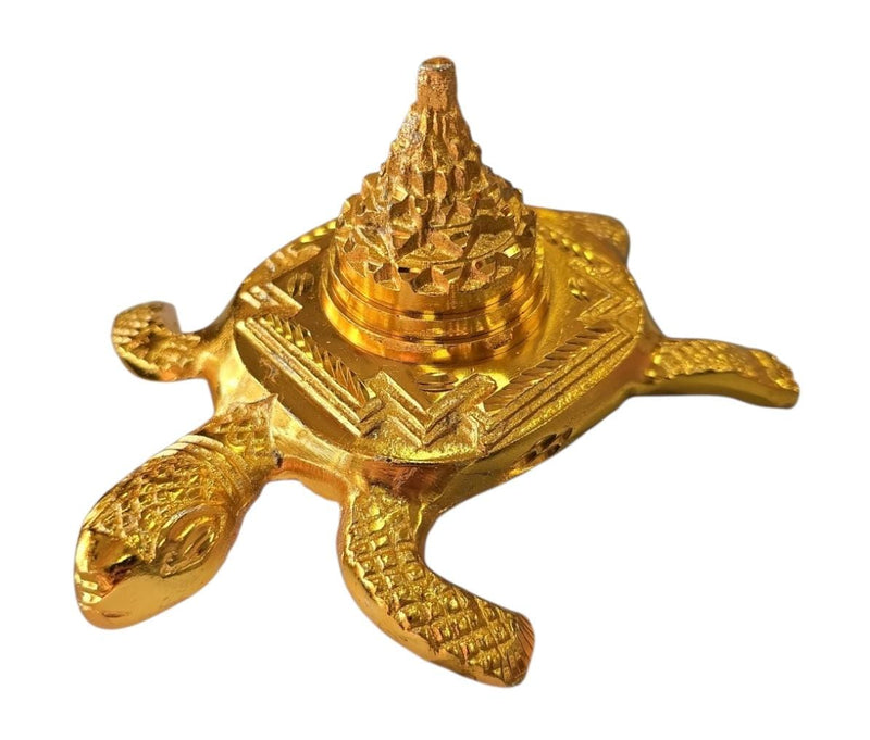 Tortoise / Turtle