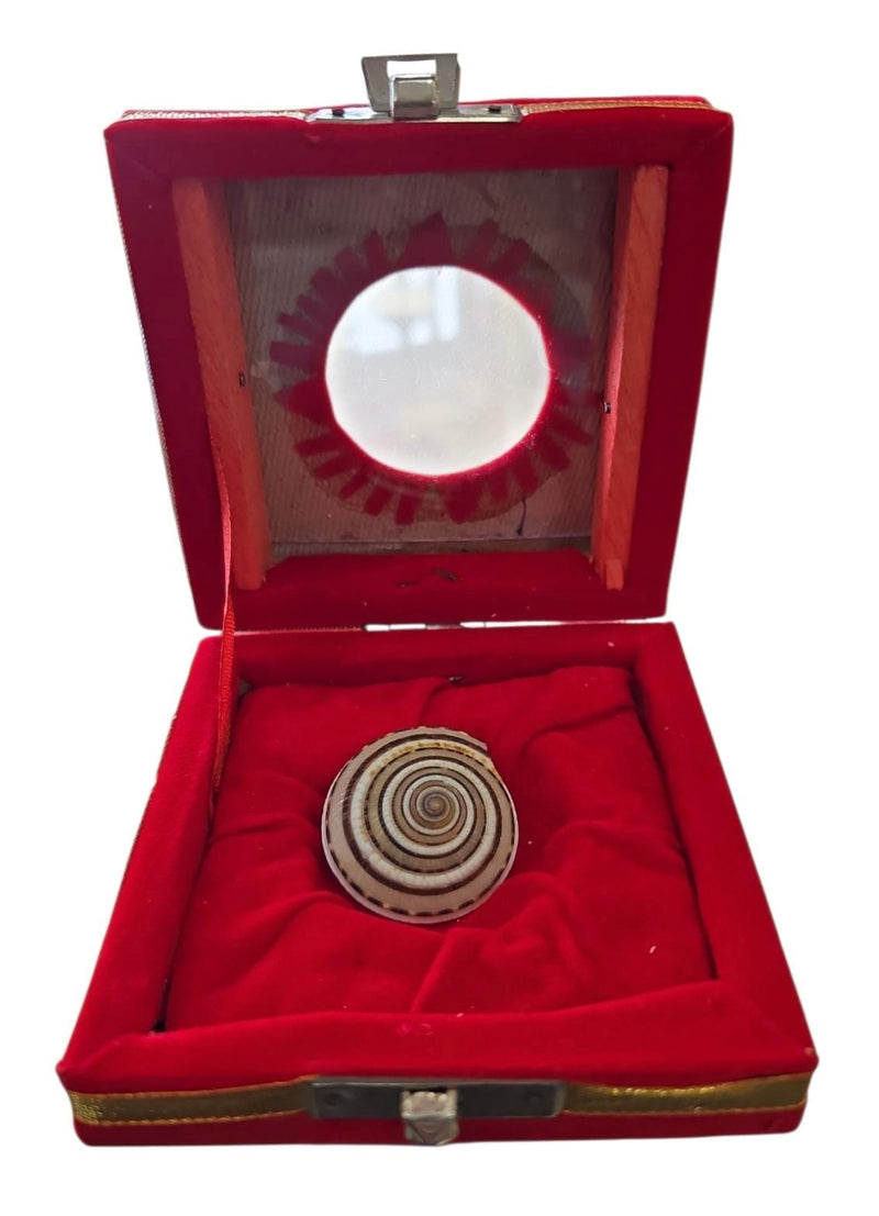 Shree Vishnu Chakra