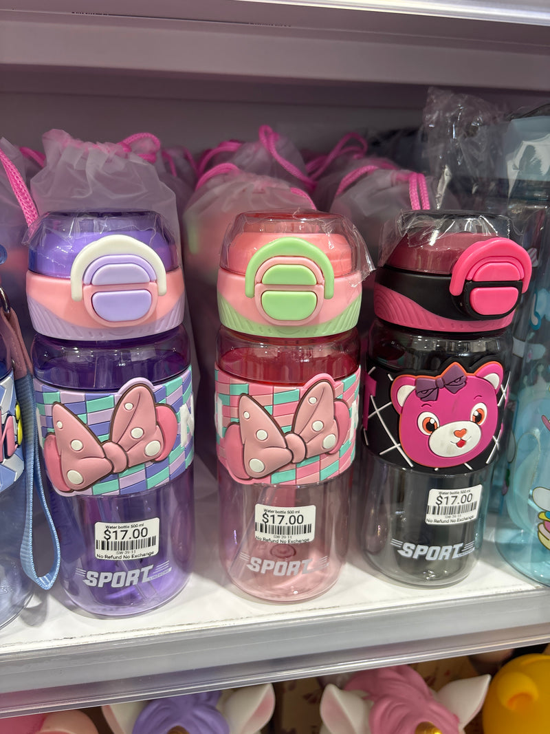 Water Bottle
