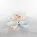 La Opala Novo Collection Premium 23-Piece Opal Glass Dinner Set