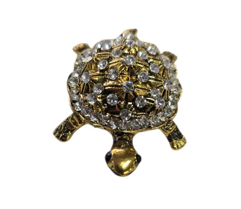 Tortoise / Turtle