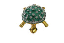 Tortoise / Turtle