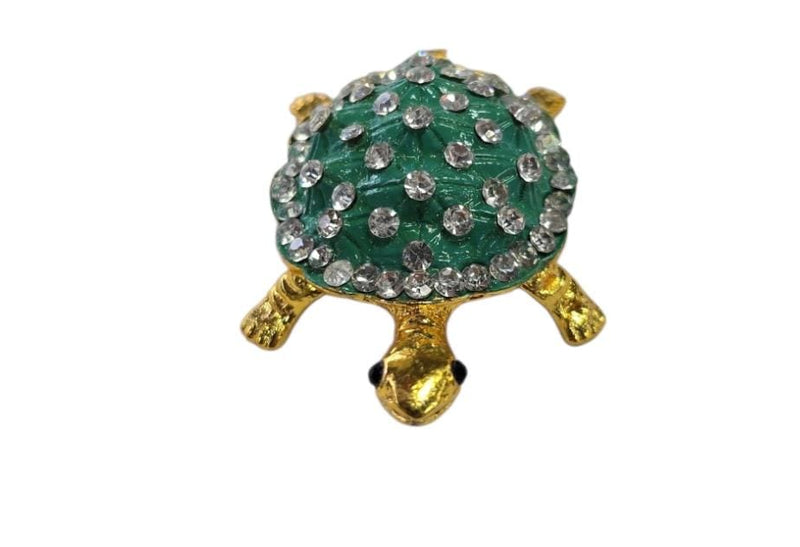 Tortoise / Turtle