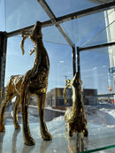 Deer pair