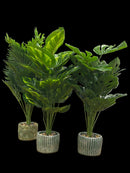Dpauls Artificial Parlour Palm Tree in Textured Rustic Planter