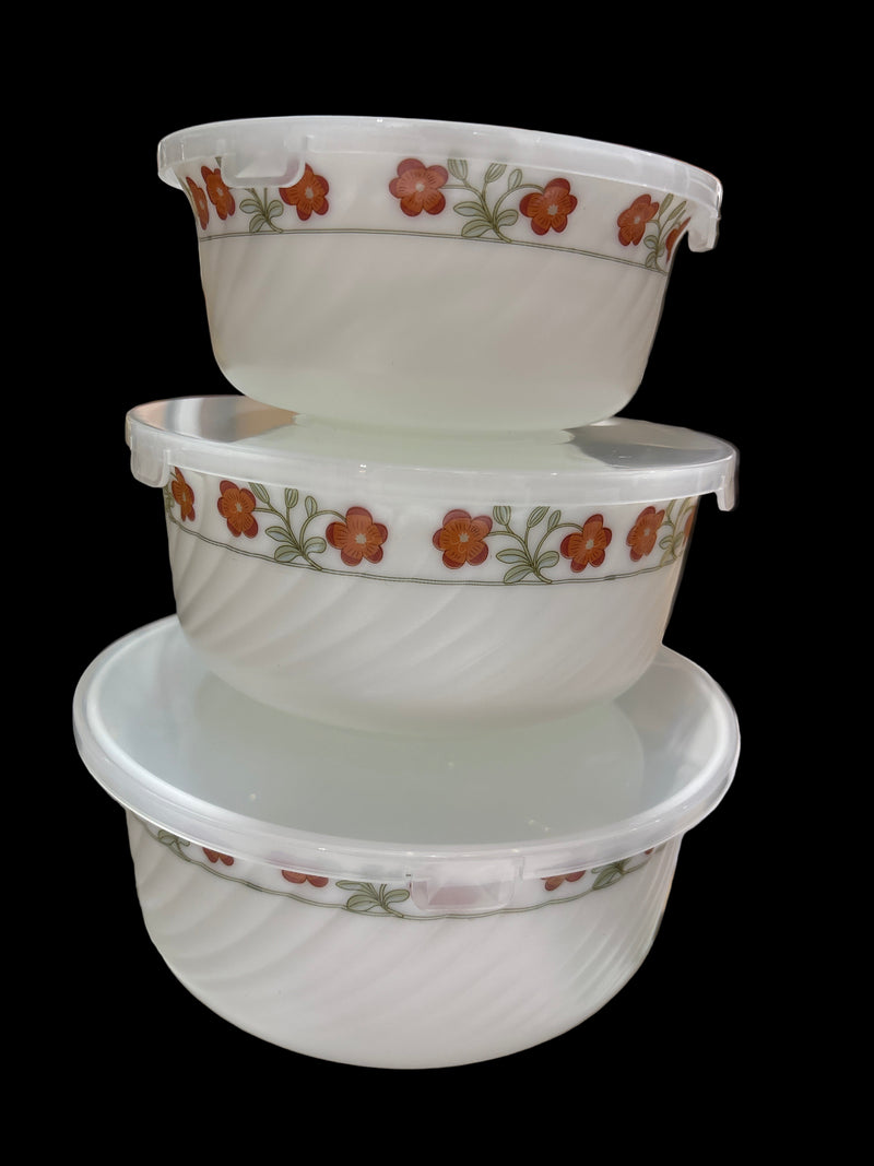3 Piece set with lid