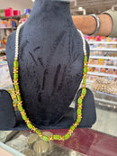 Swagat Mala-Elachi