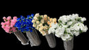 Rose Bunch