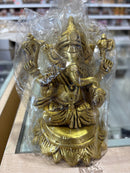GANESH JI