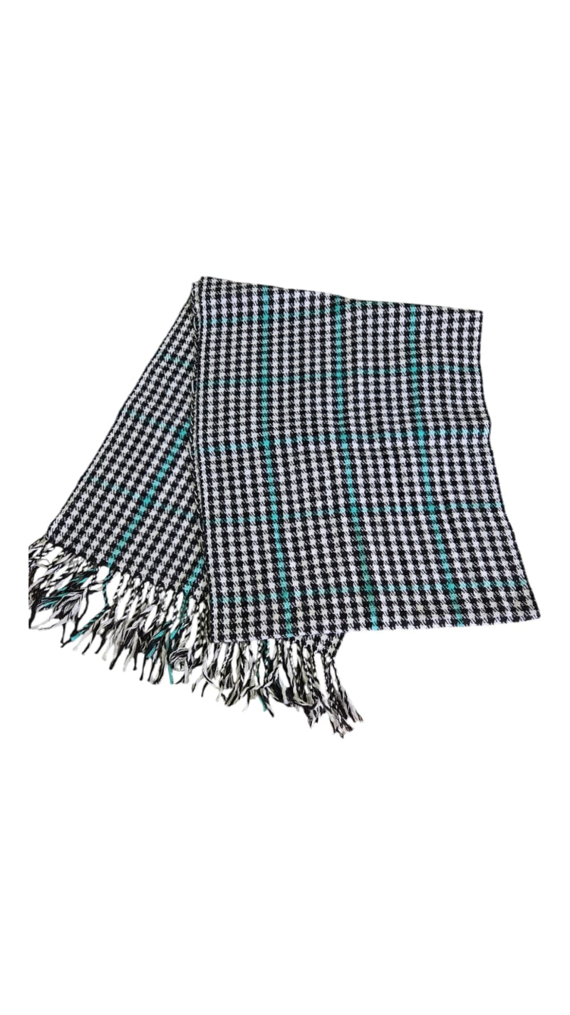 Muffler
