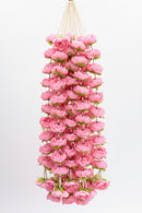 Garland Rose