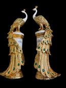Peacock Pair