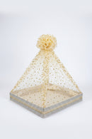 Punjabi Wedding Shagun Tray with Golden Net.16x21 inch apx