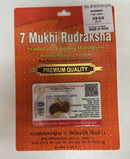 Rudraksha  Pendant