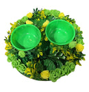 Mehandi 2 bowl