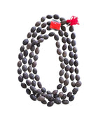 Kamal Gatta Mala (Lotus Seeds)