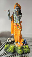 Radha JI, Krishna JI