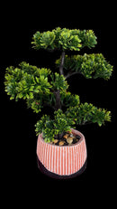 Dpauls Artificial Zen Cedar Bonsai Tree in Textured Round Planter