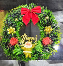 CHRITSMAS REEF