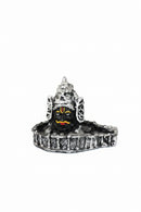 Shivling for Home Temple & Daily Puja
