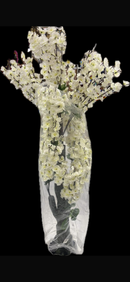 Peach Blossom tree- pink