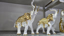 Elephant- White Gold