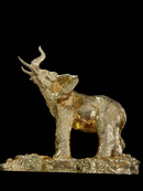 Elephant- Gold
