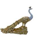 Peacock Decor