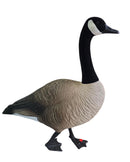 Goose Decor