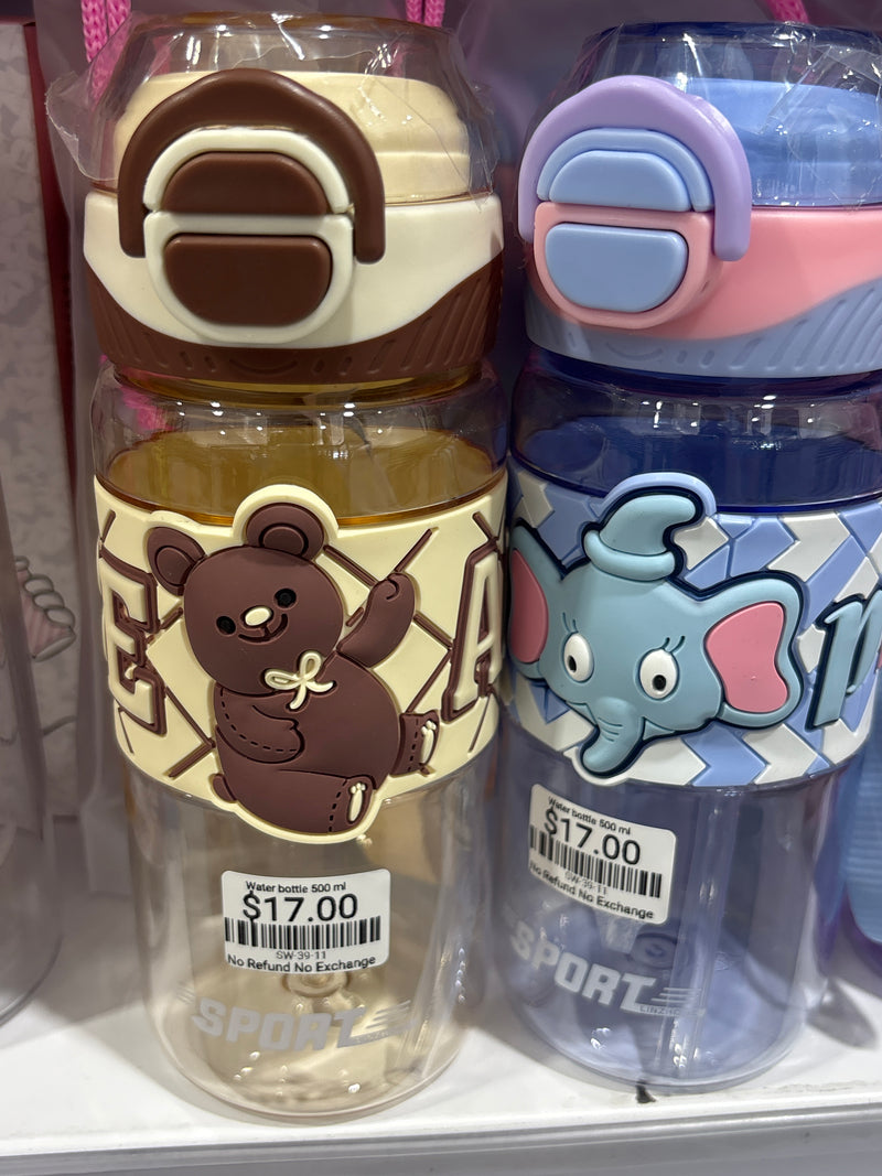 Water Bottle