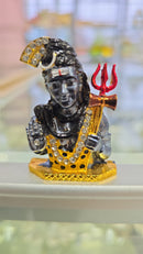 Shiv JI sitting