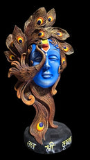 Lord Krishna Ji (Peacock),rc