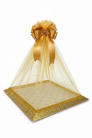 Luxury Wedding Shagun Tray with Decorative Net Cover 16x21 inch apx