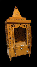 Pooja Mandir (Door)