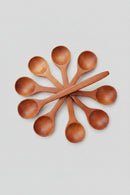Wooden Havan Spoon