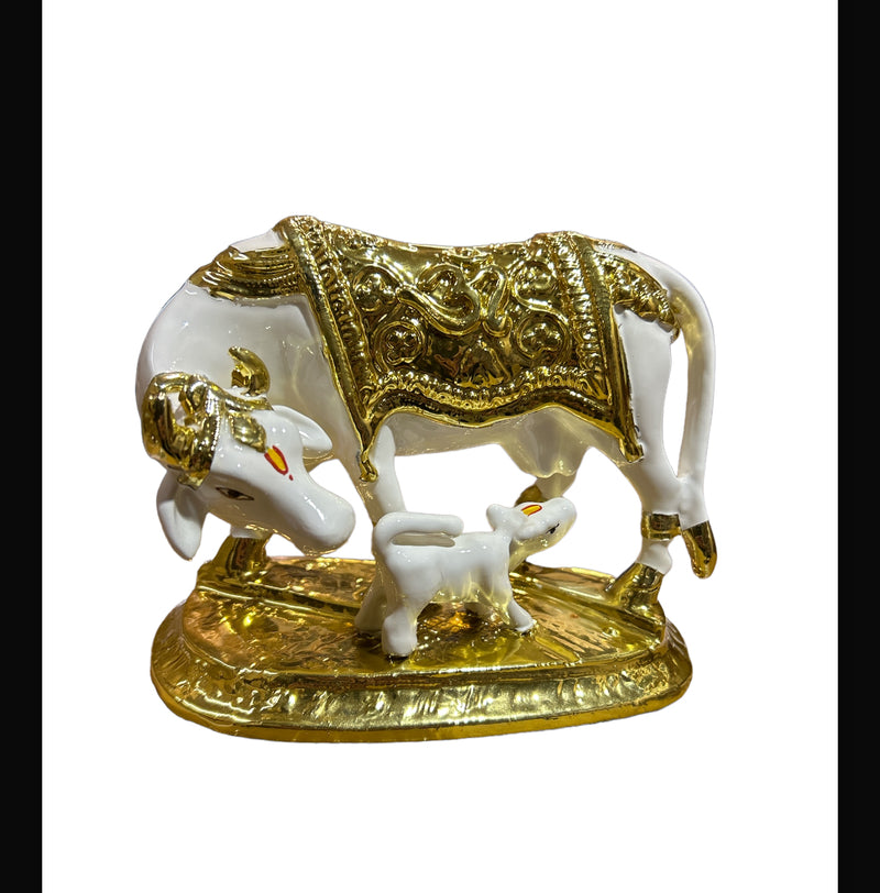 Cow and calf