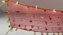 Bridal Entry Chadar