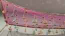 Bridal Entry Chadar