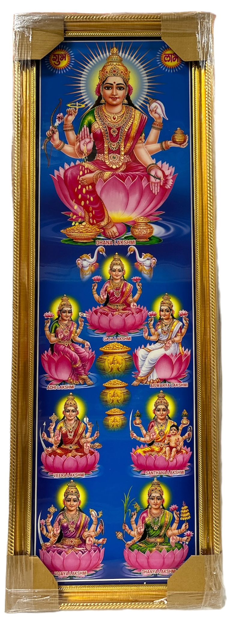 Goddess Laxmi JI