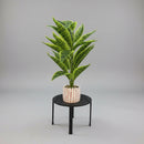 Dpauls Artificial Sansevieria Snake Plant in Geometric Ceramic Pot