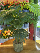 Dpauls Artificial Parlour Palm Tree in Textured Rustic Planter