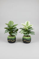 green plant artifcal