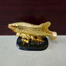 Vastu Fish