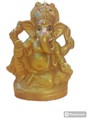 Ganesh Ji Visrjan(golden Col.)