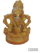 Ganesh Ji Visrjan(golden Col.)