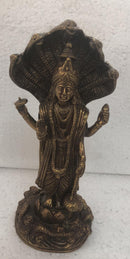 Vishnu ji